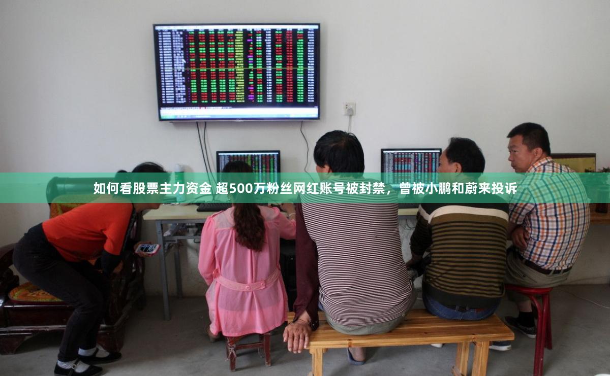 如何看股票主力资金 超500万粉丝网红账号被封禁，曾被小鹏和蔚来投诉