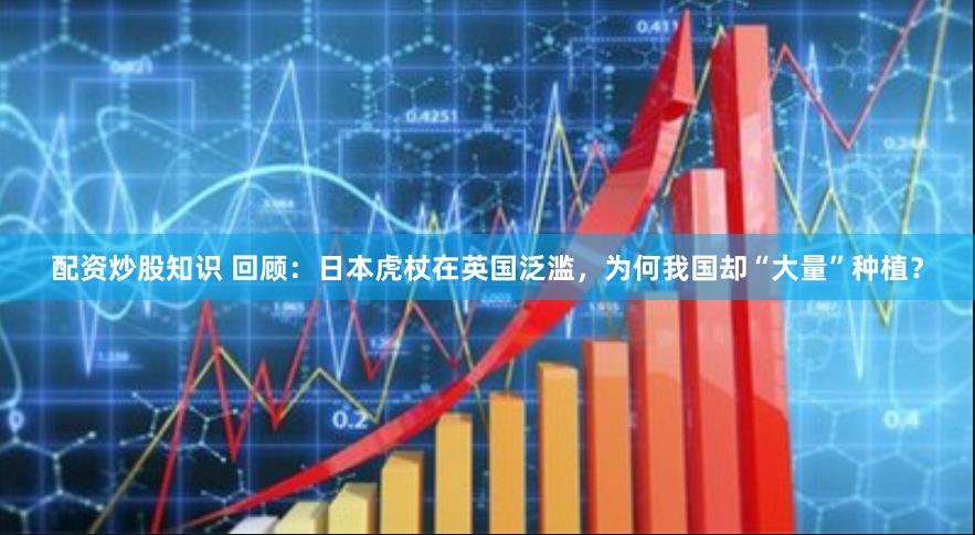 配资炒股知识 回顾：日本虎杖在英国泛滥，为何我国却“大量”种植？
