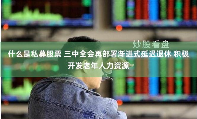 什么是私募股票 三中全会再部署渐进式延迟退休 积极开发老年人力资源