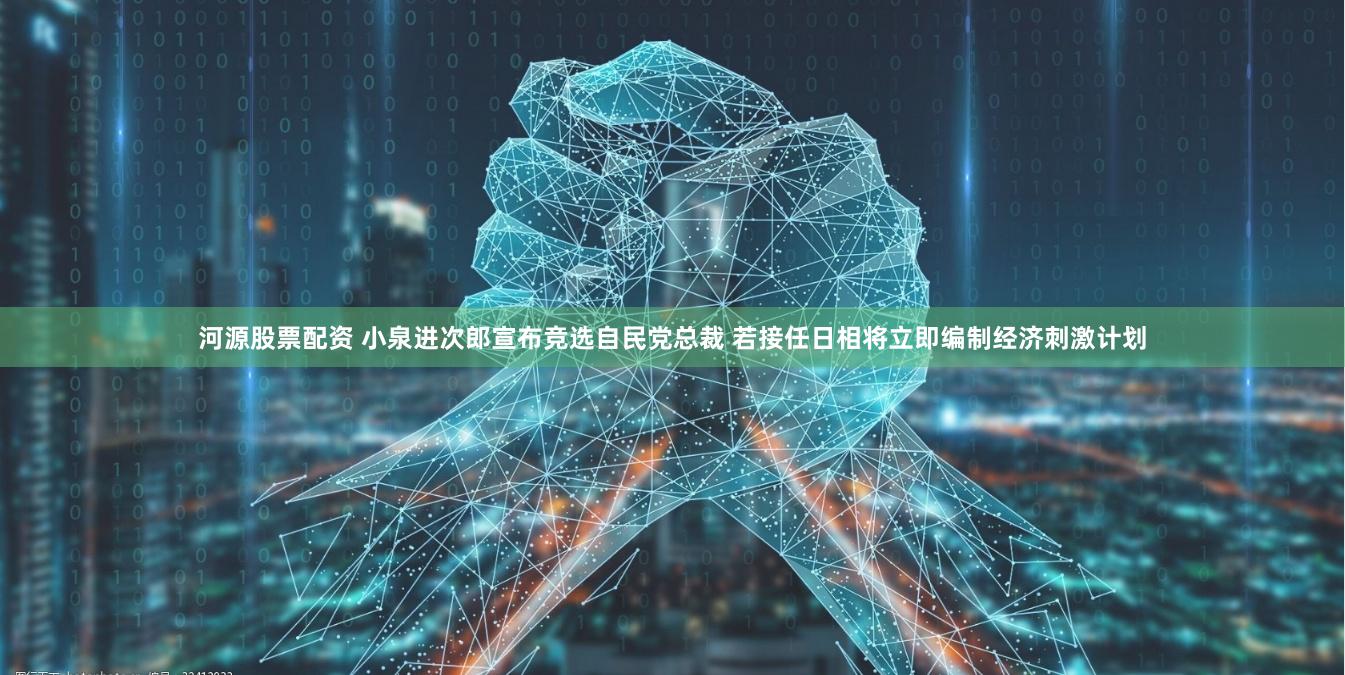 河源股票配资 小泉进次郎宣布竞选自民党总裁 若接任日相将立即编制经济刺激计划