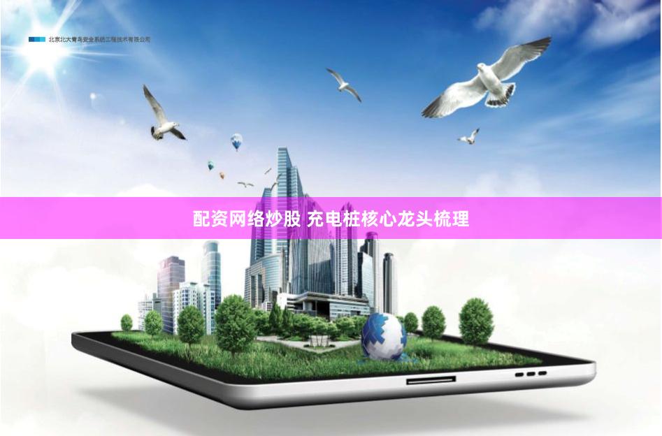 配资网络炒股 充电桩核心龙头梳理